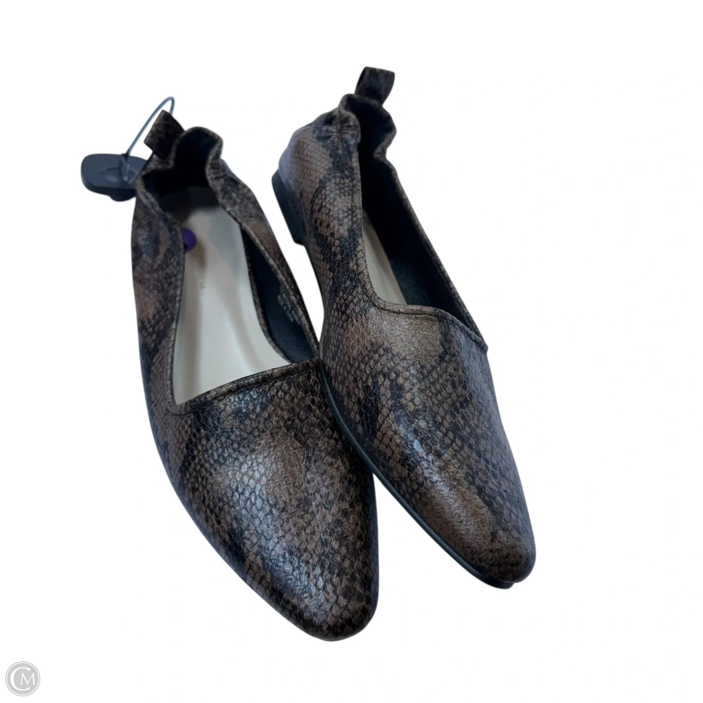 Shoes Flats By French Connection In Snakeskin Print, Size: 8