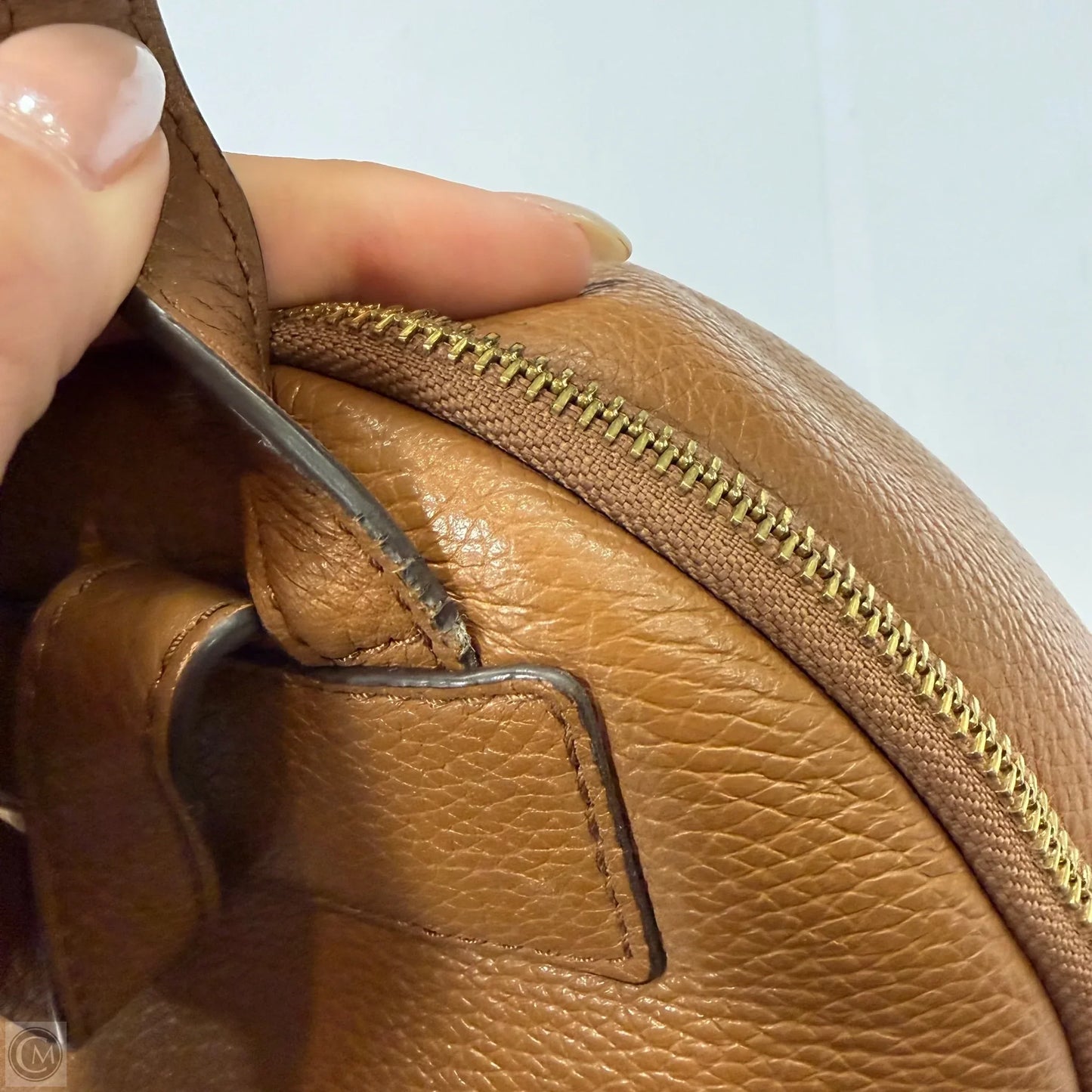 Backpack Designer By Michael By Michael Kors, Size: Small