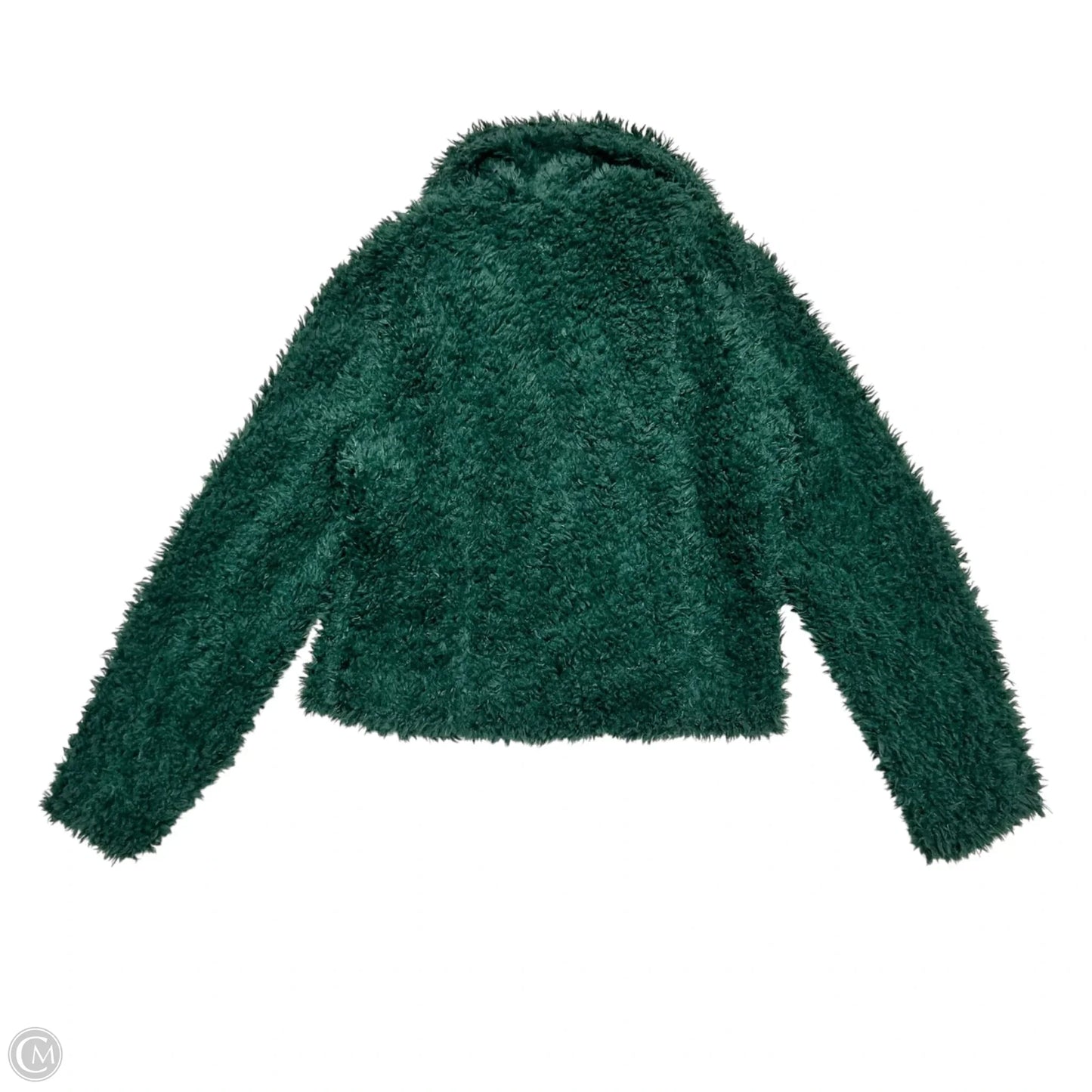 Coat Faux Fur & Sherpa By Blanknyc In Green, Size: Xl