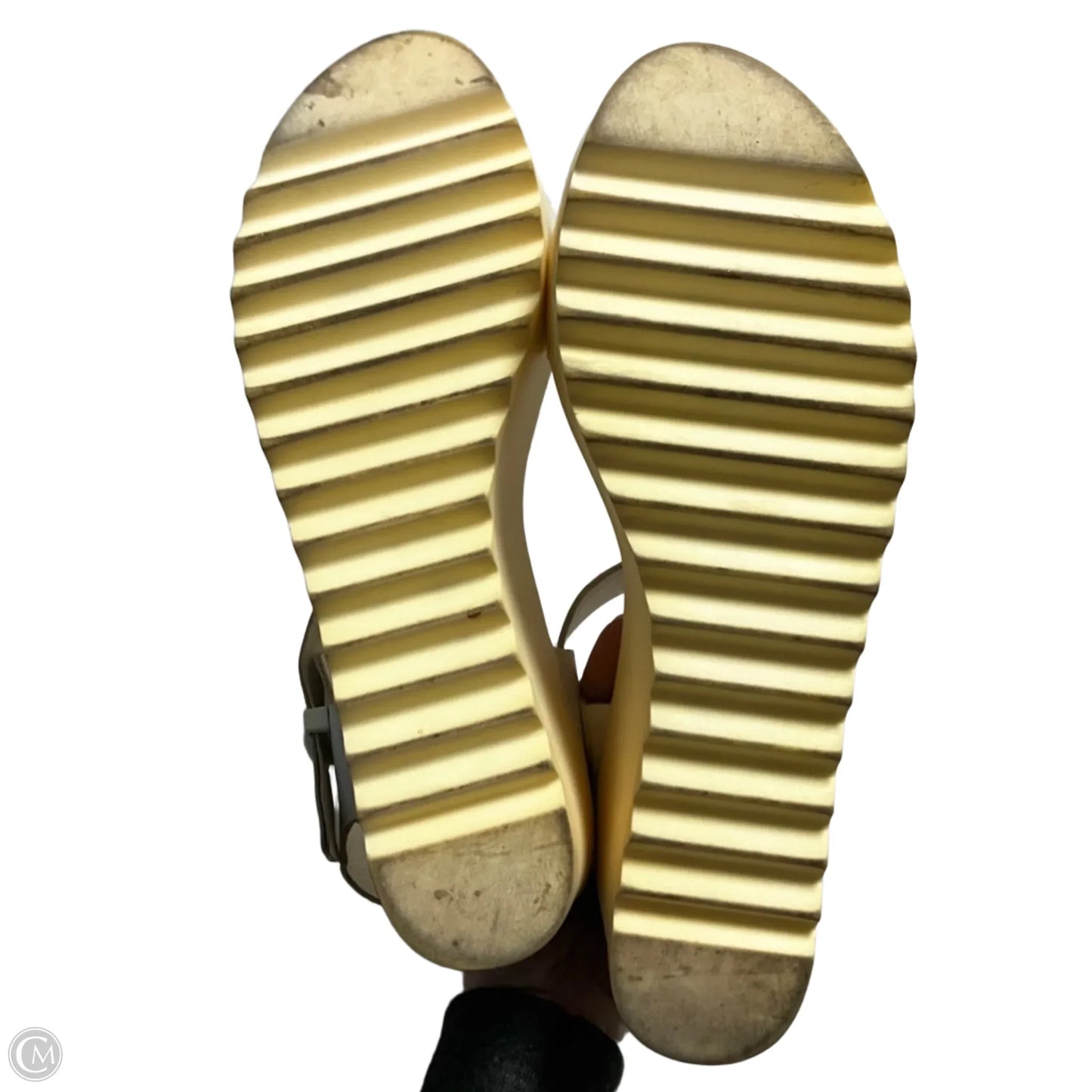 Shoes Heels Wedge By Steve Madden In White, Size: 10