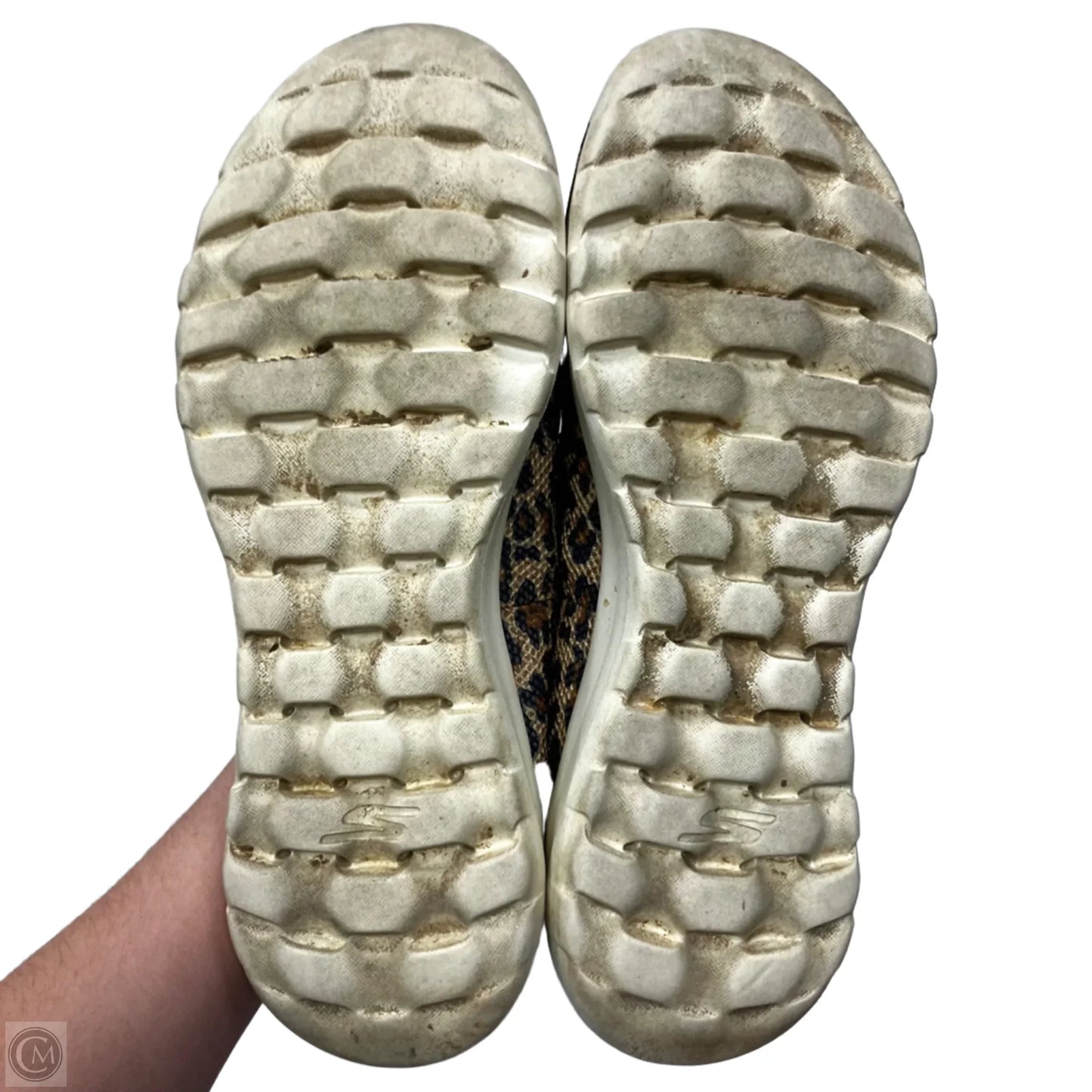 Shoes Sneakers By Skechers In Leopard Print, Size: 11