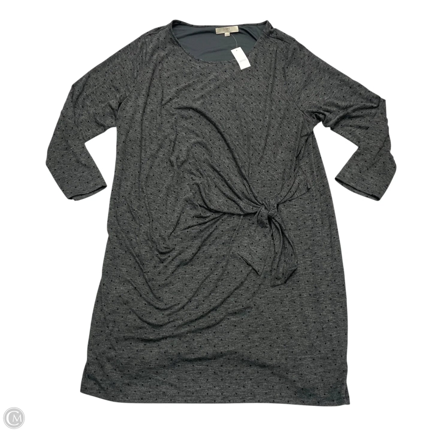 Dress Casual Short By Loft In Grey, Size: 4x