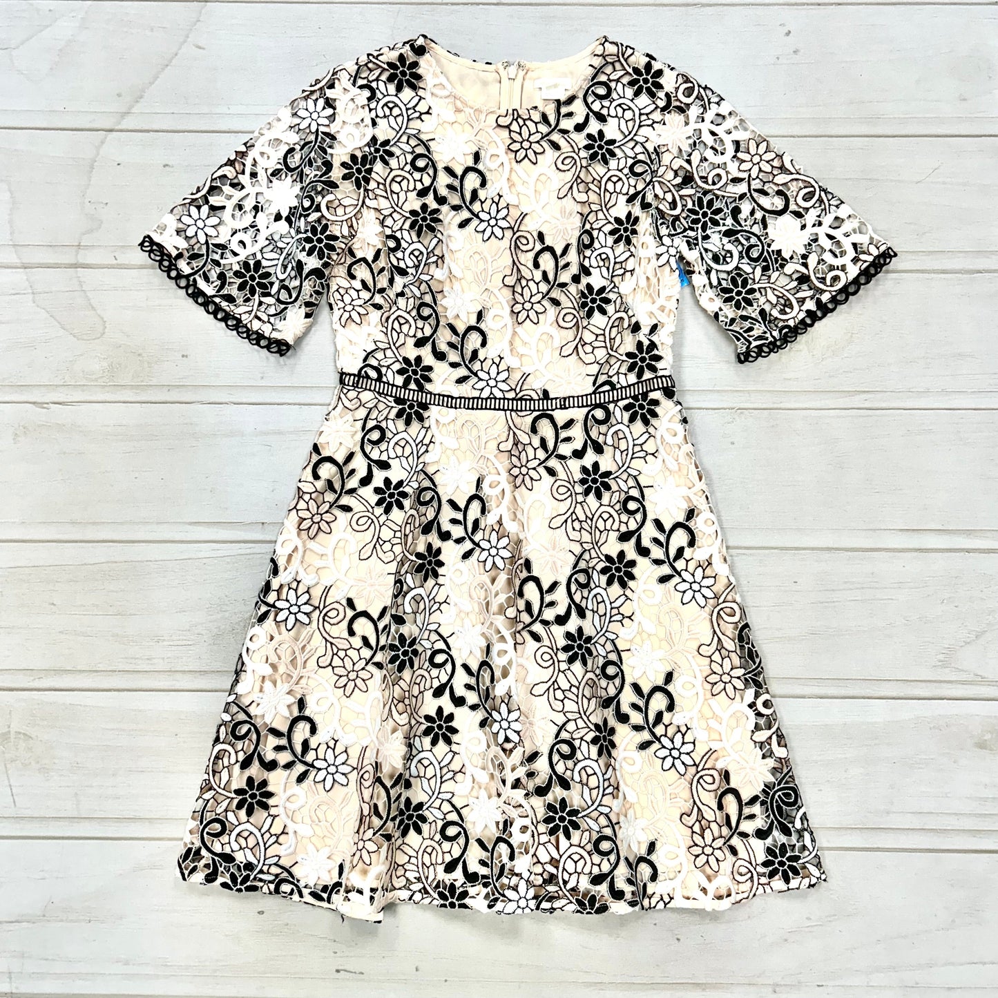 Dress Designer By Shosanna Size: 2p