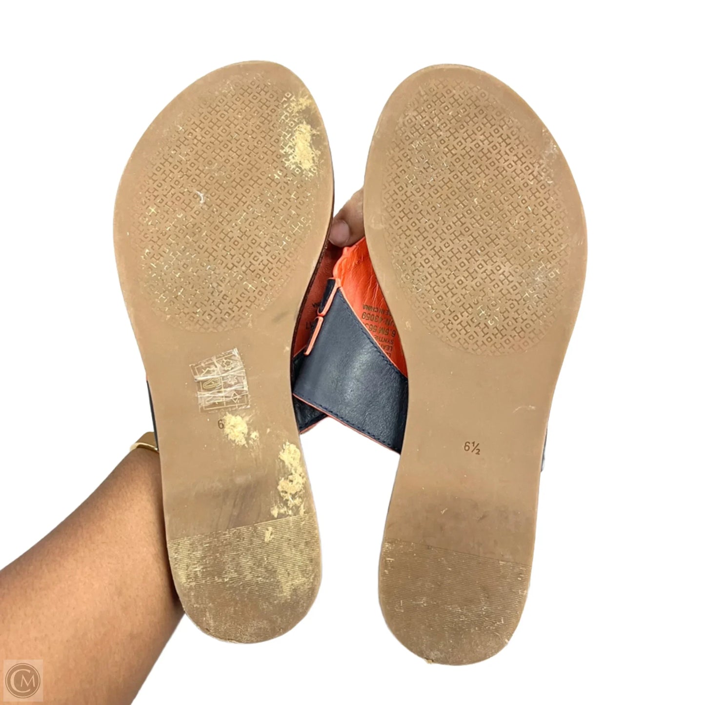 Sandals Designer By Tory Burch In Navy, Size: 6