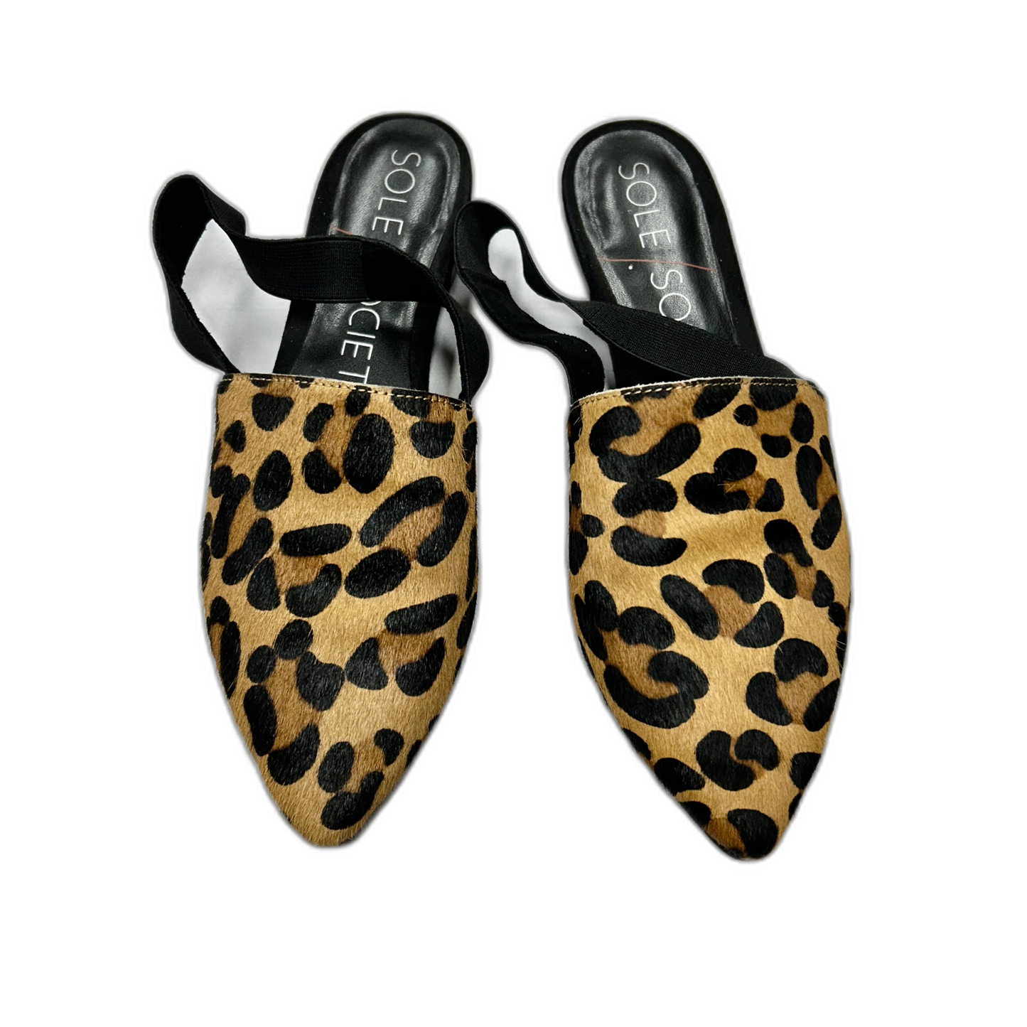 Shoes Flats By Sole Society In Leopard Print, Size: 6.5