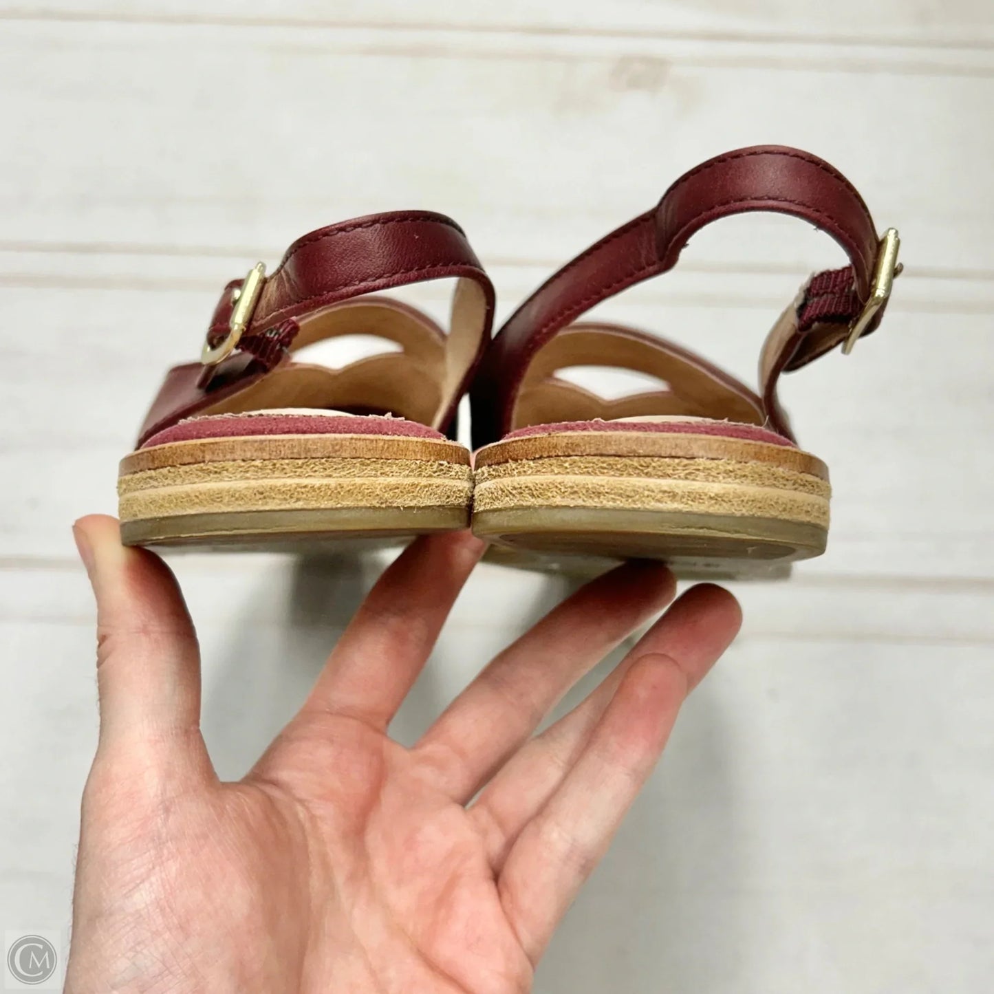 Shoes Flats By Sperry In Maroon, Size: 6.5