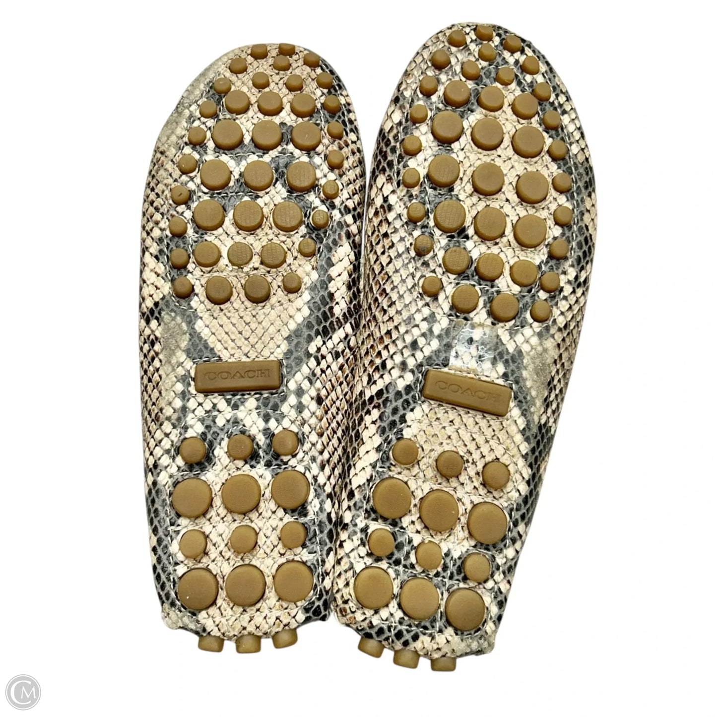 Shoes Designer By Coach In Snakeskin Print, Size: 5