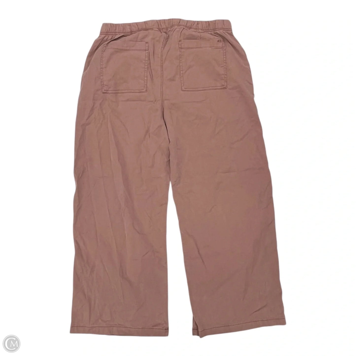 Pants Cargo & Utility By American Eagle In Brown, Size: Xl