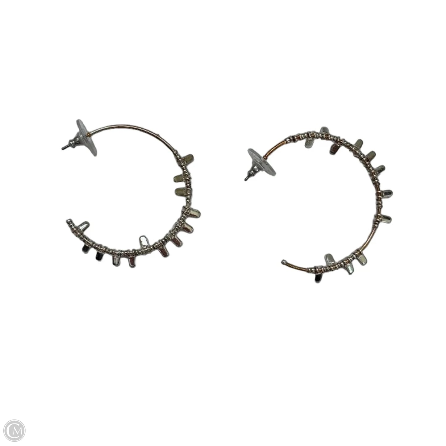 Earrings Hoop By Stella And Dot