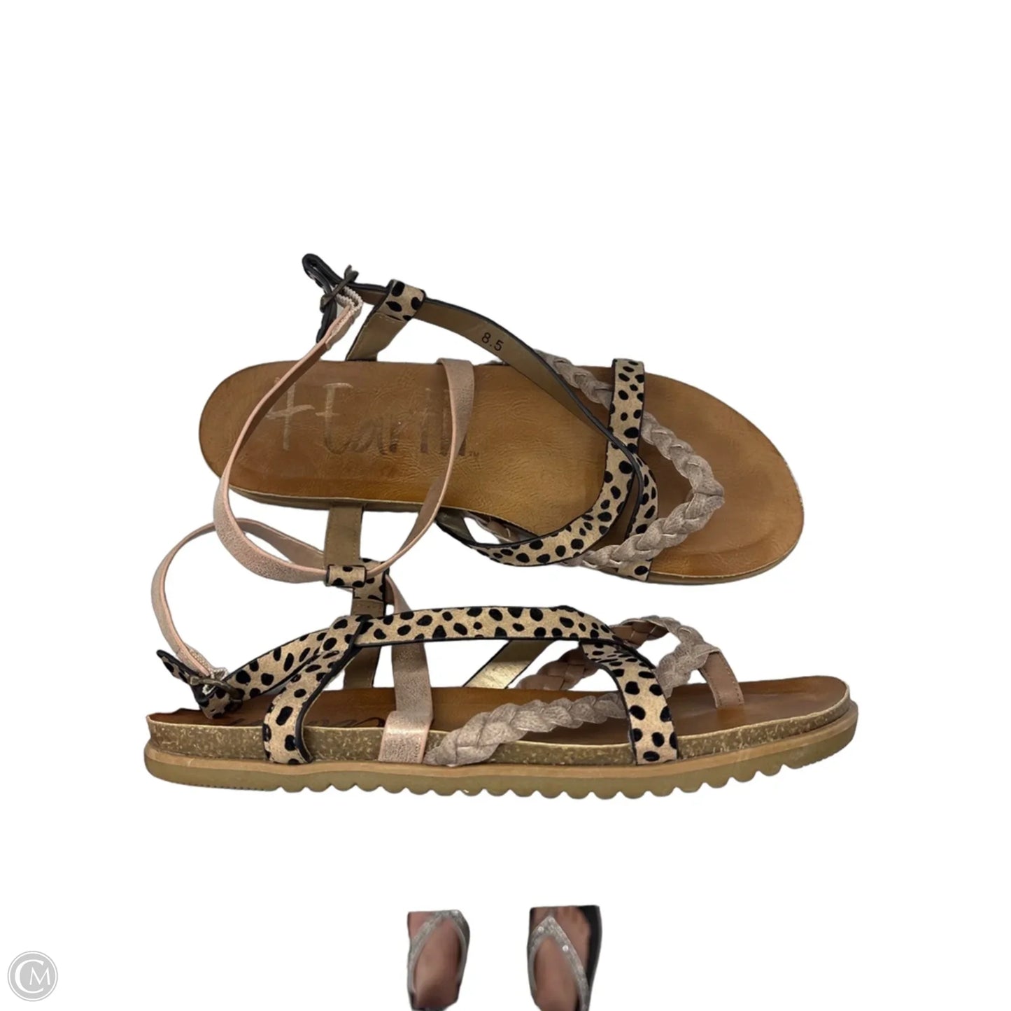 Sandals Flats By Blowfish In Brown, Size: 8.5