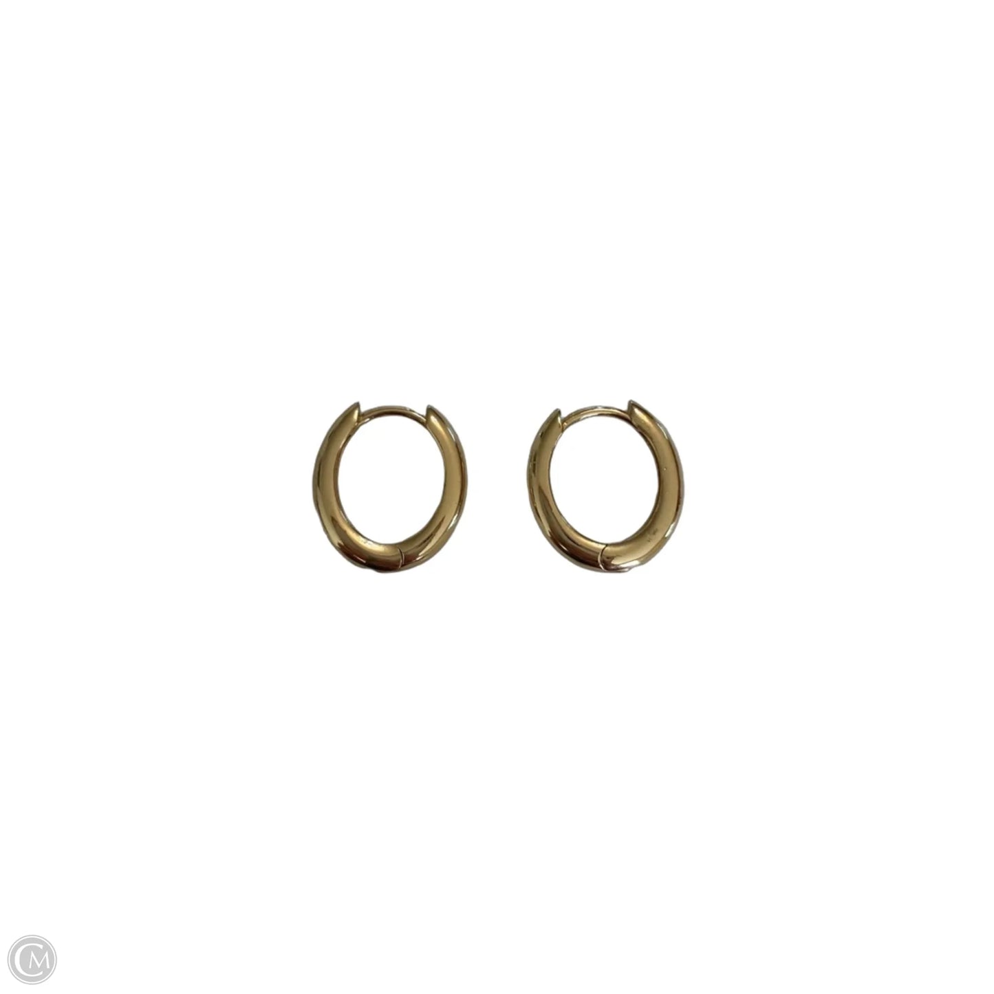 Earrings Hoop By Clothes Mentor