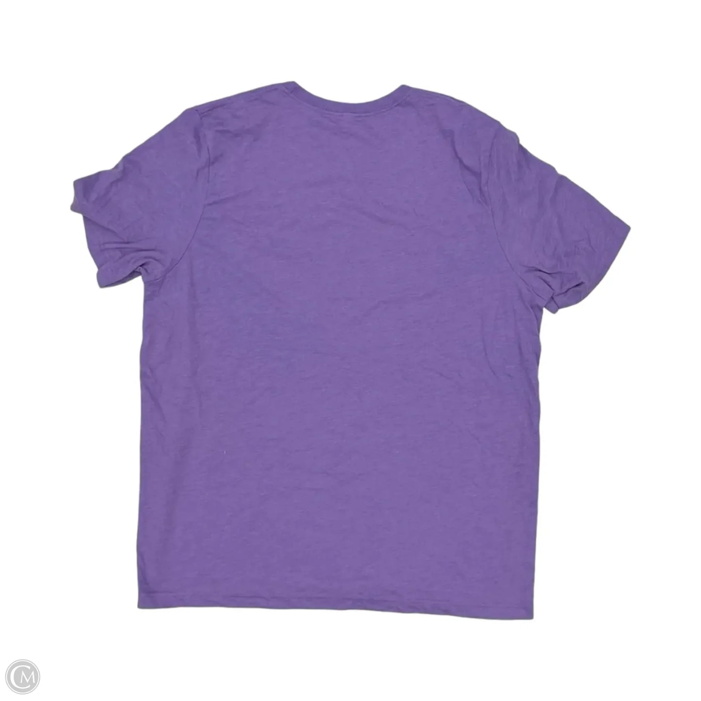 Top Short Sleeve By Bella + Canvas In Purple, Size: 2x