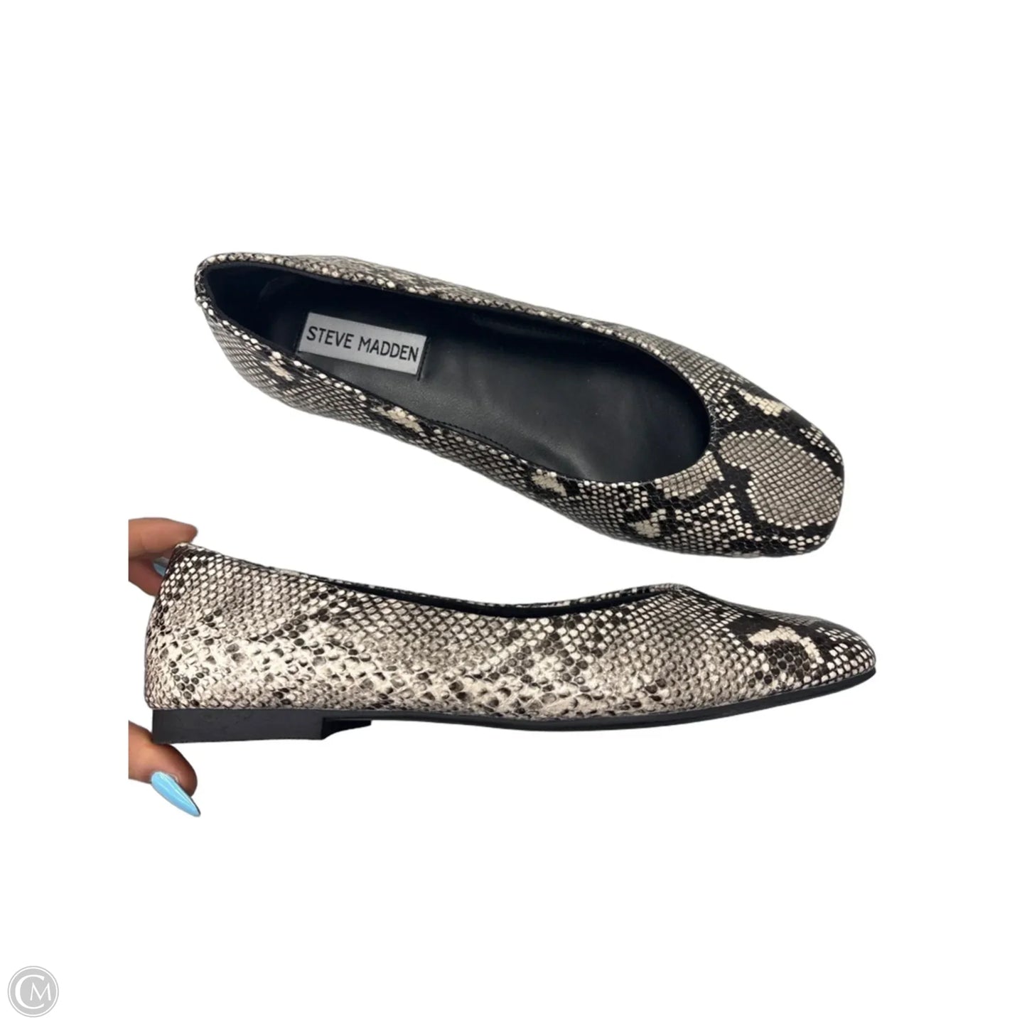 Shoes Flats By Steve Madden In Snakeskin Print, Size: 7.5