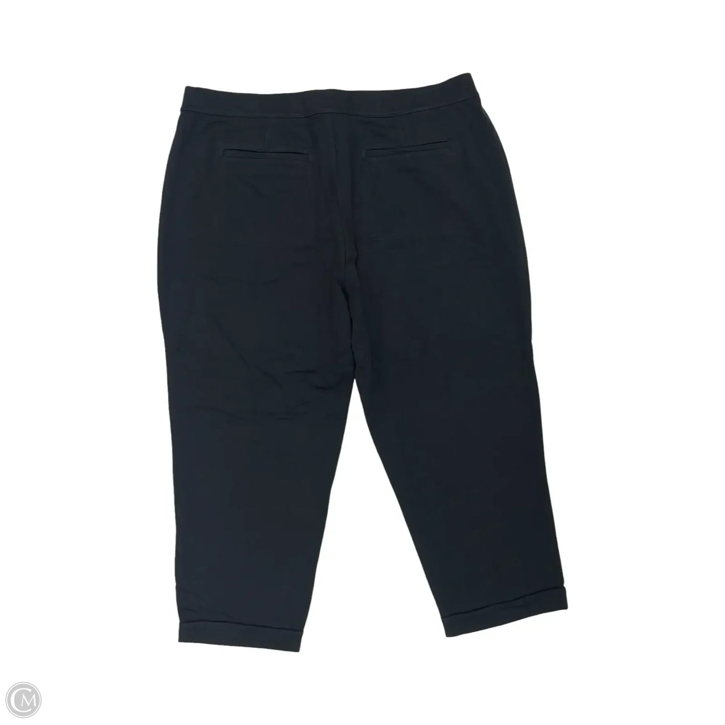 Pants Other By Lands End In Black, Size: 2x