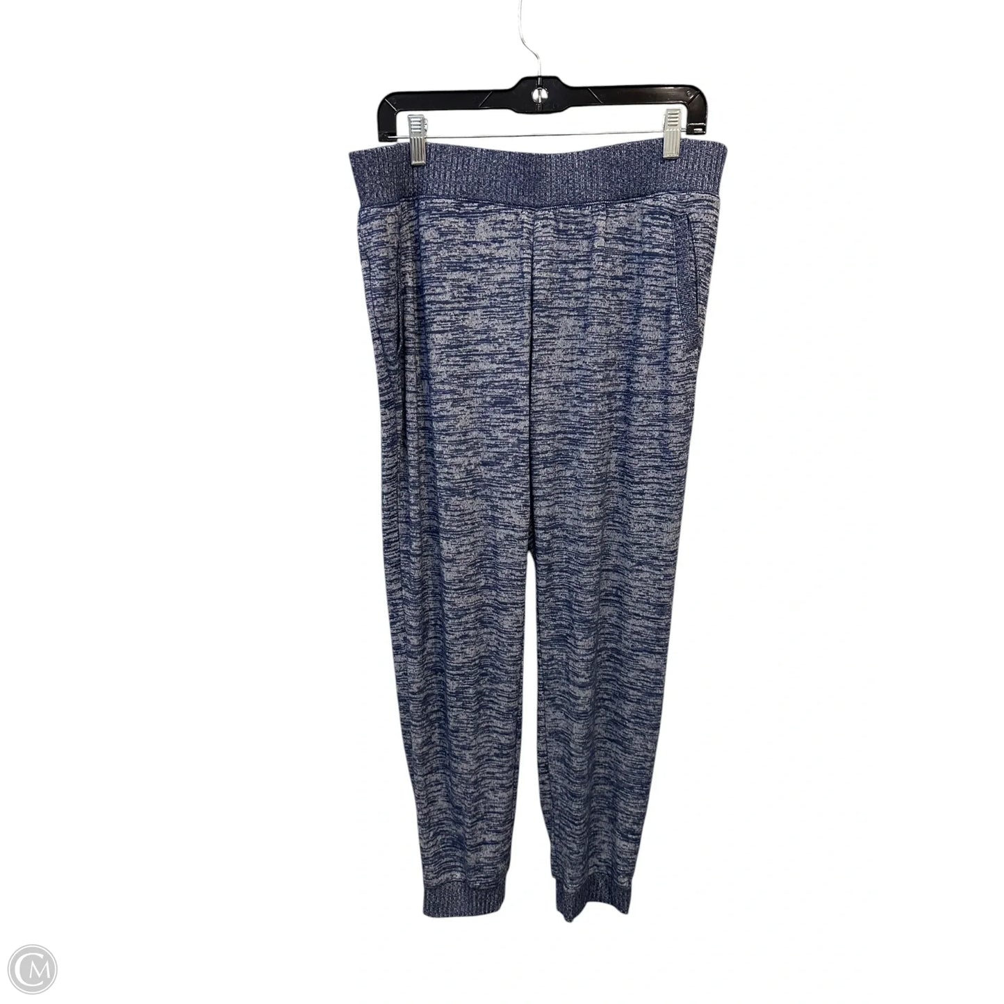 Pants Set 2pc By Zenergy By Chicos In Blue, Size: L