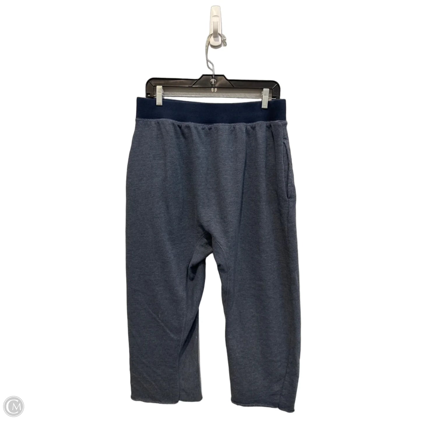Pants Lounge By Free People In Blue, Size: 12