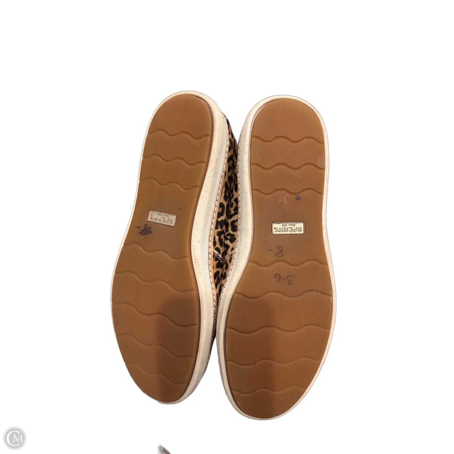 Shoes Flats By Sperry In Animal Print, Size: 7.5