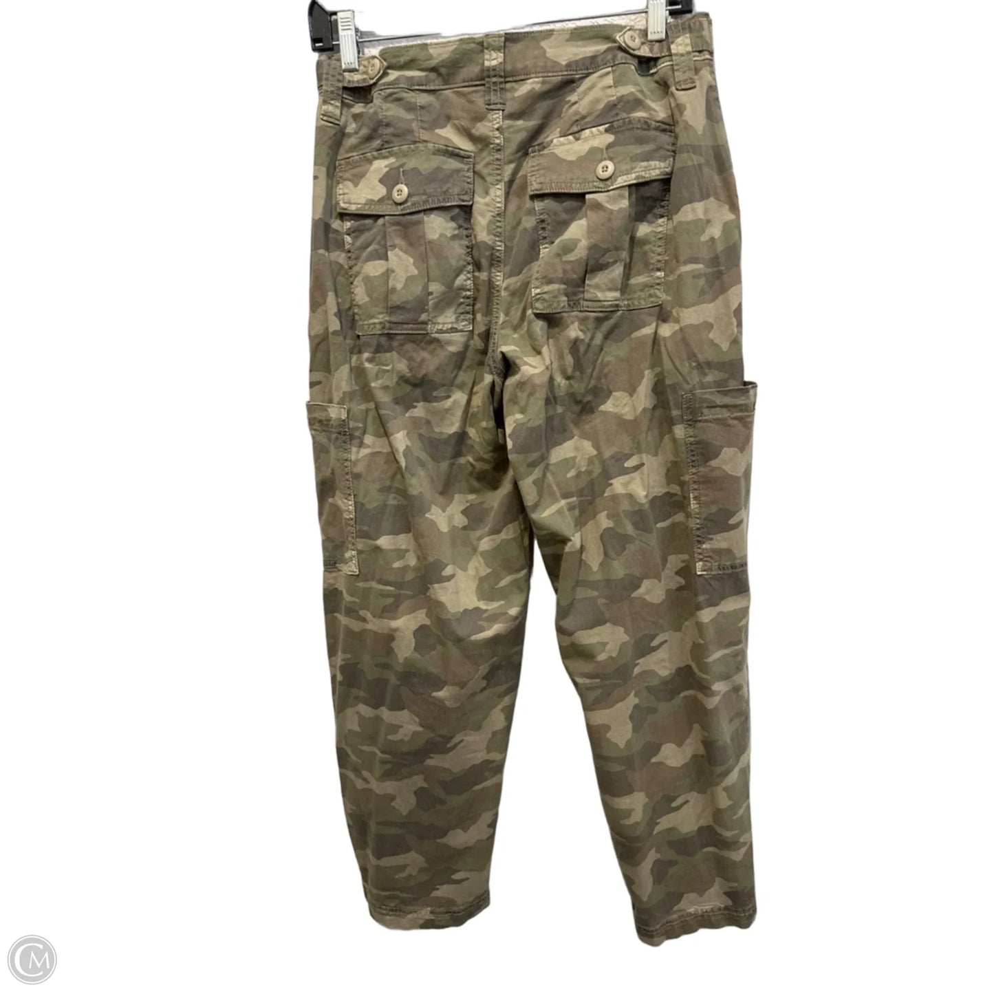 Pants Cargo & Utility By American Eagle In Camouflage Print, Size: 2