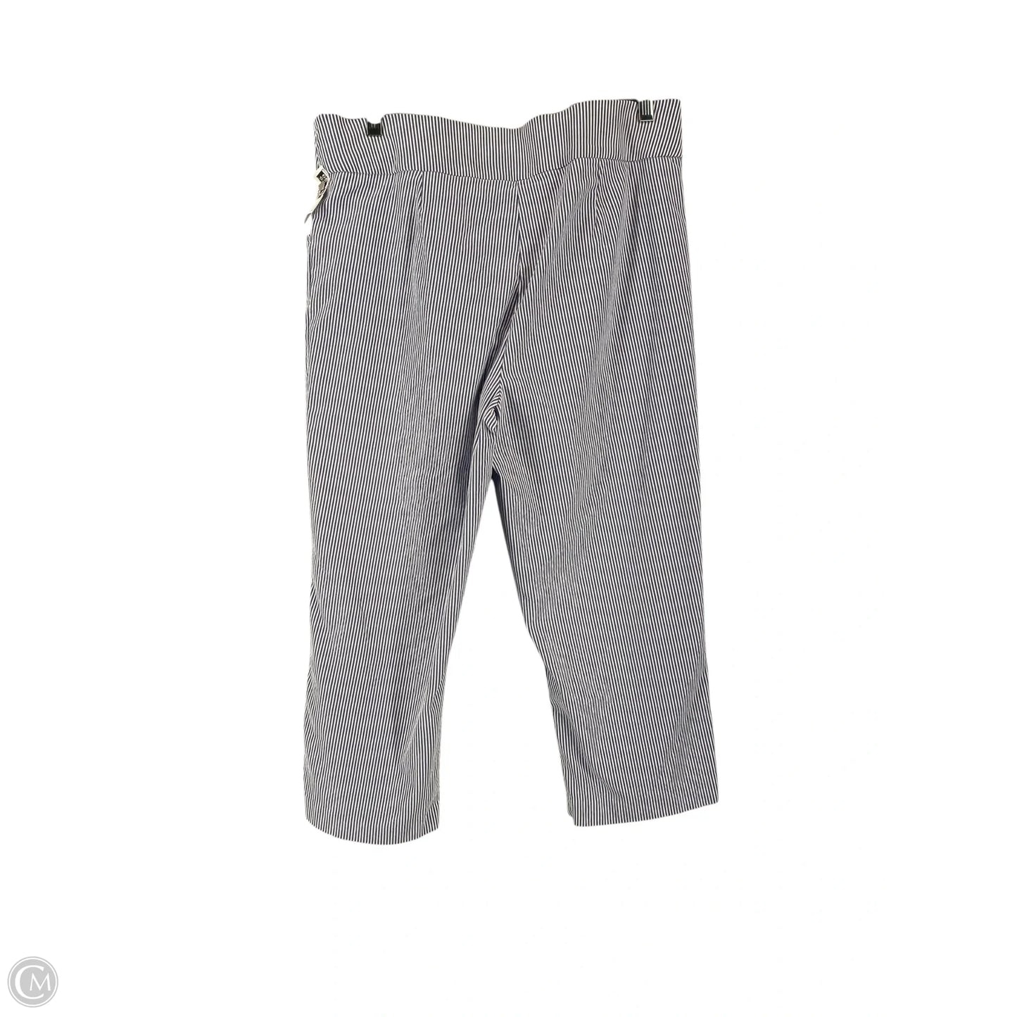 Pants Cargo & Utility By Counterparts In Blue, Size: L