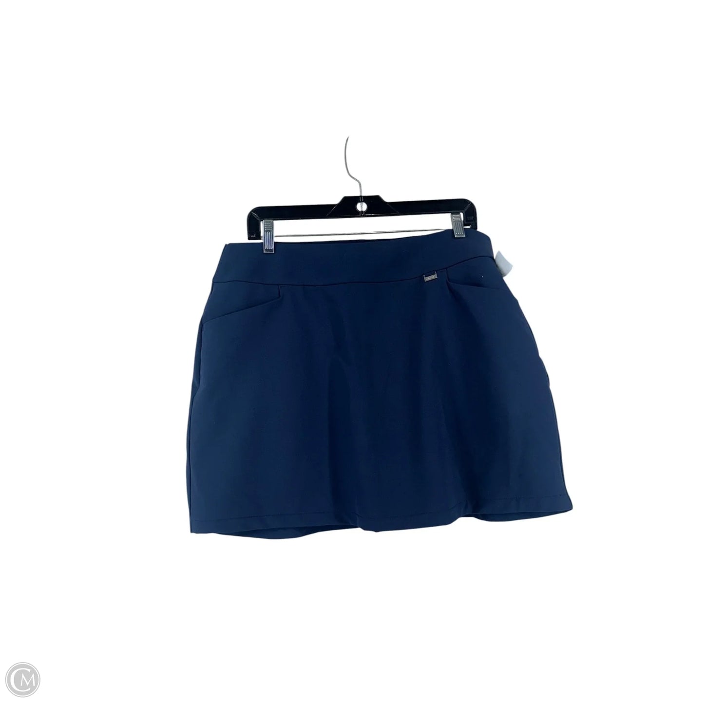 Skirt Mini & Short By Clothes Mentor In Blue, Size: L