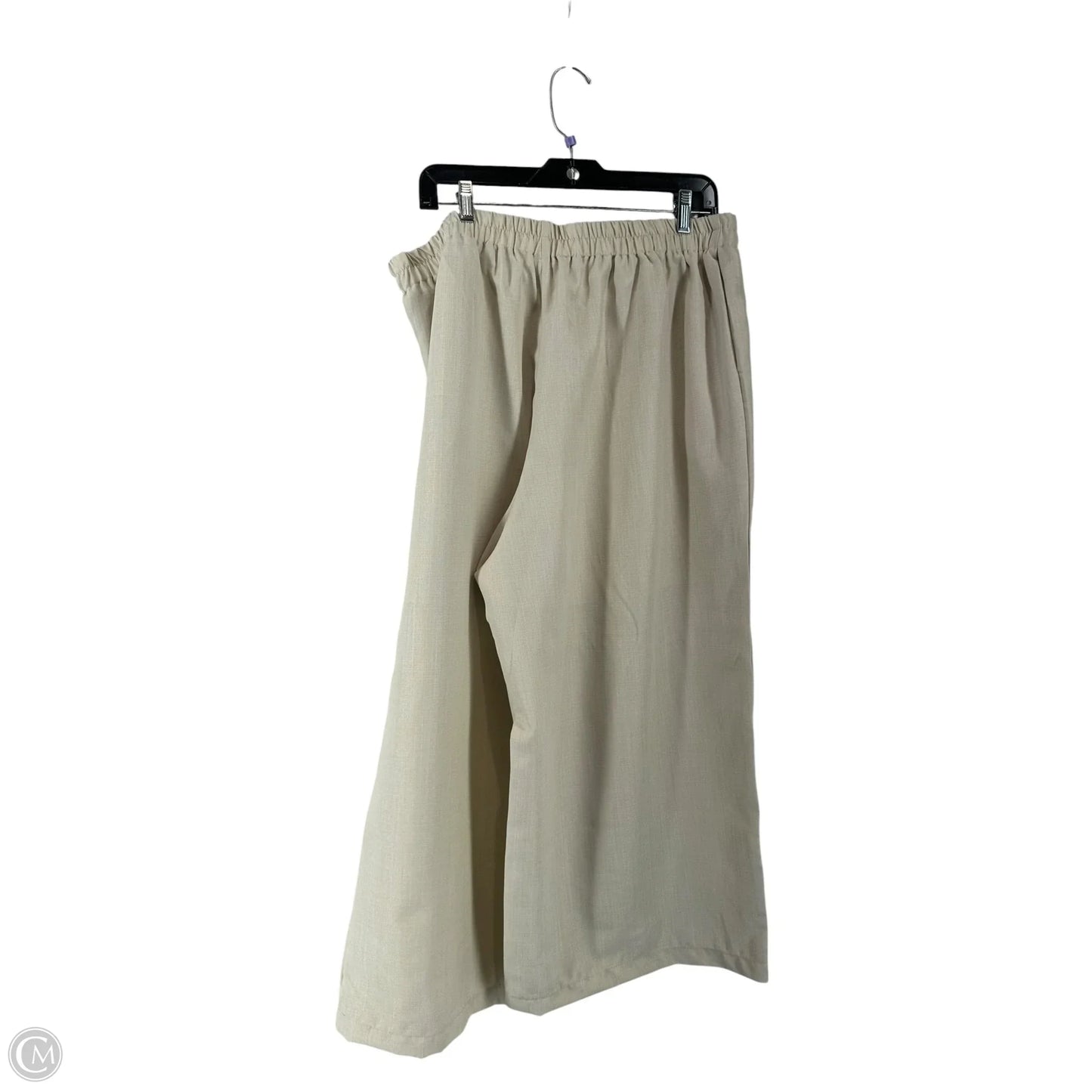 Pants Set 2pc By Clothes Mentor In Beige, Size: 2x