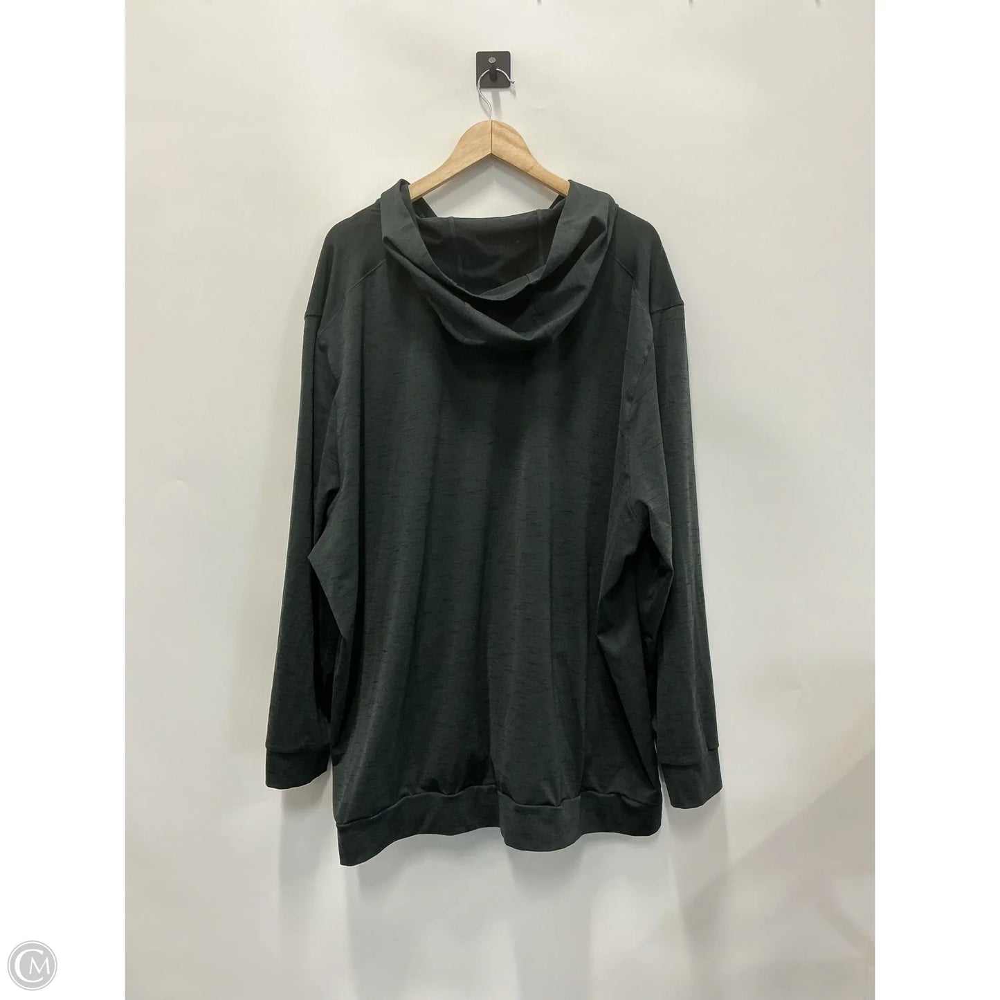 Sweatshirt Hoodie By Nike In Grey, Size: 4x