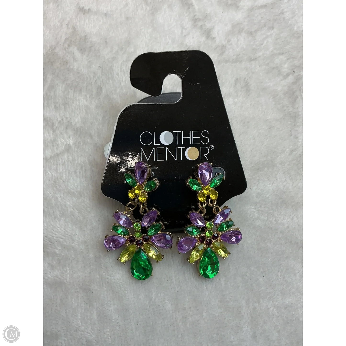 Earrings Dangle/drop By Clothes Mentor
