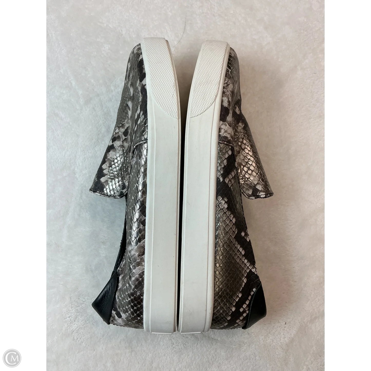Shoes Sneakers By Cole-haan In Snakeskin Print, Size: 7.5