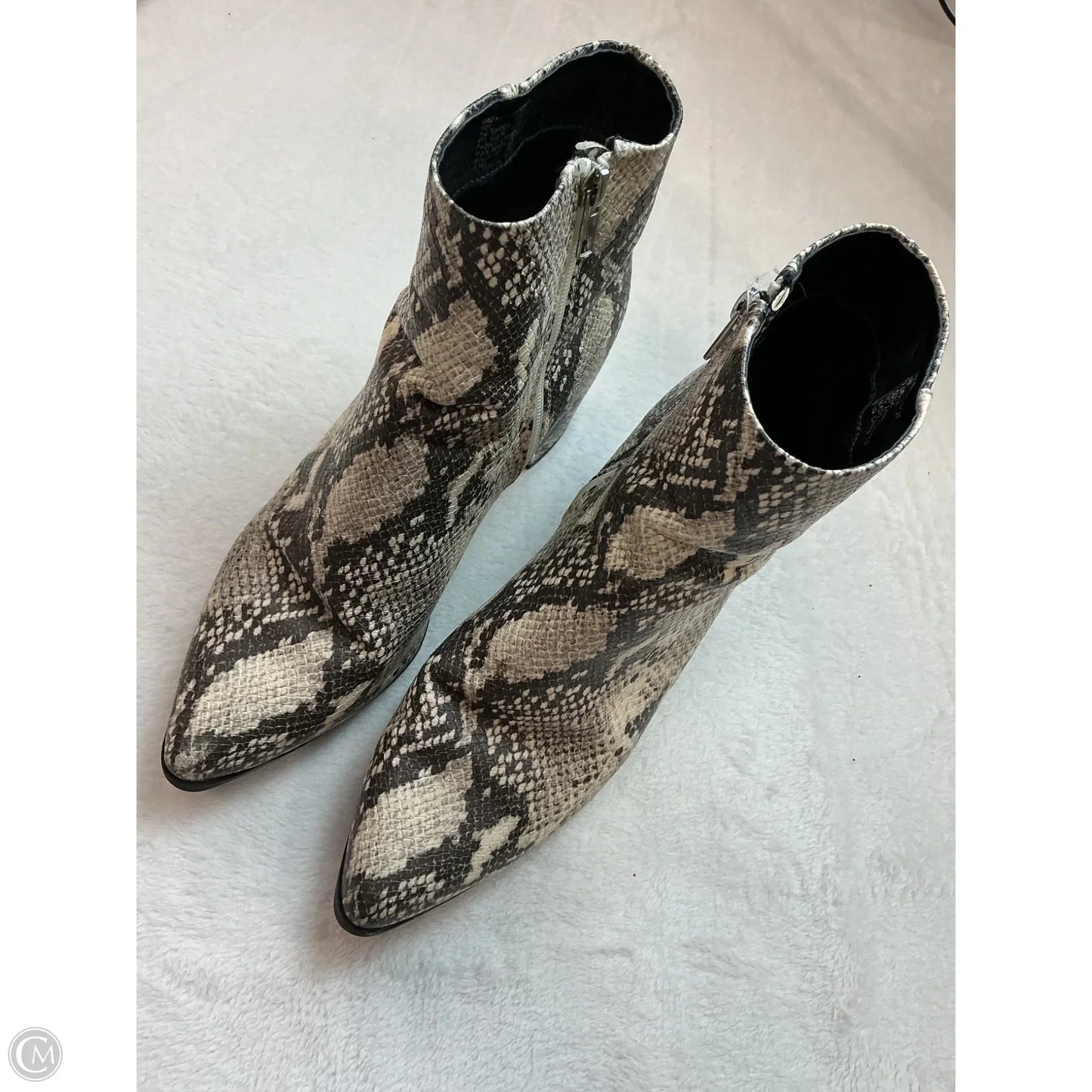 Boots Ankle Heels By Madden Girl In Snakeskin Print, Size: 10