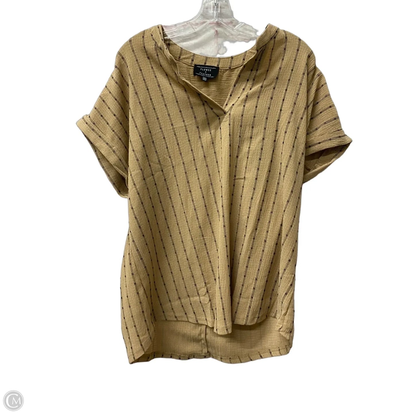 Top Short Sleeve By Flower and Feathers In Brown, Size: 2x