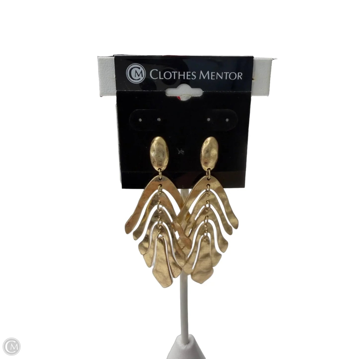 Earrings Dangle/drop By Clothes Mentor
