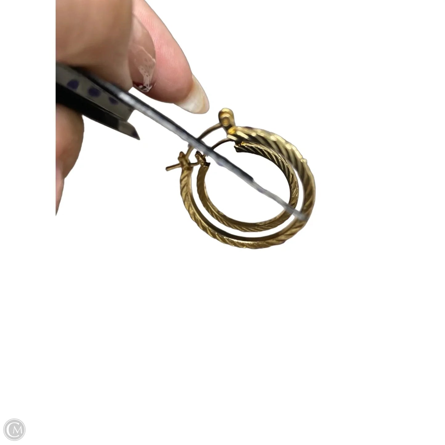 Earrings Hoop