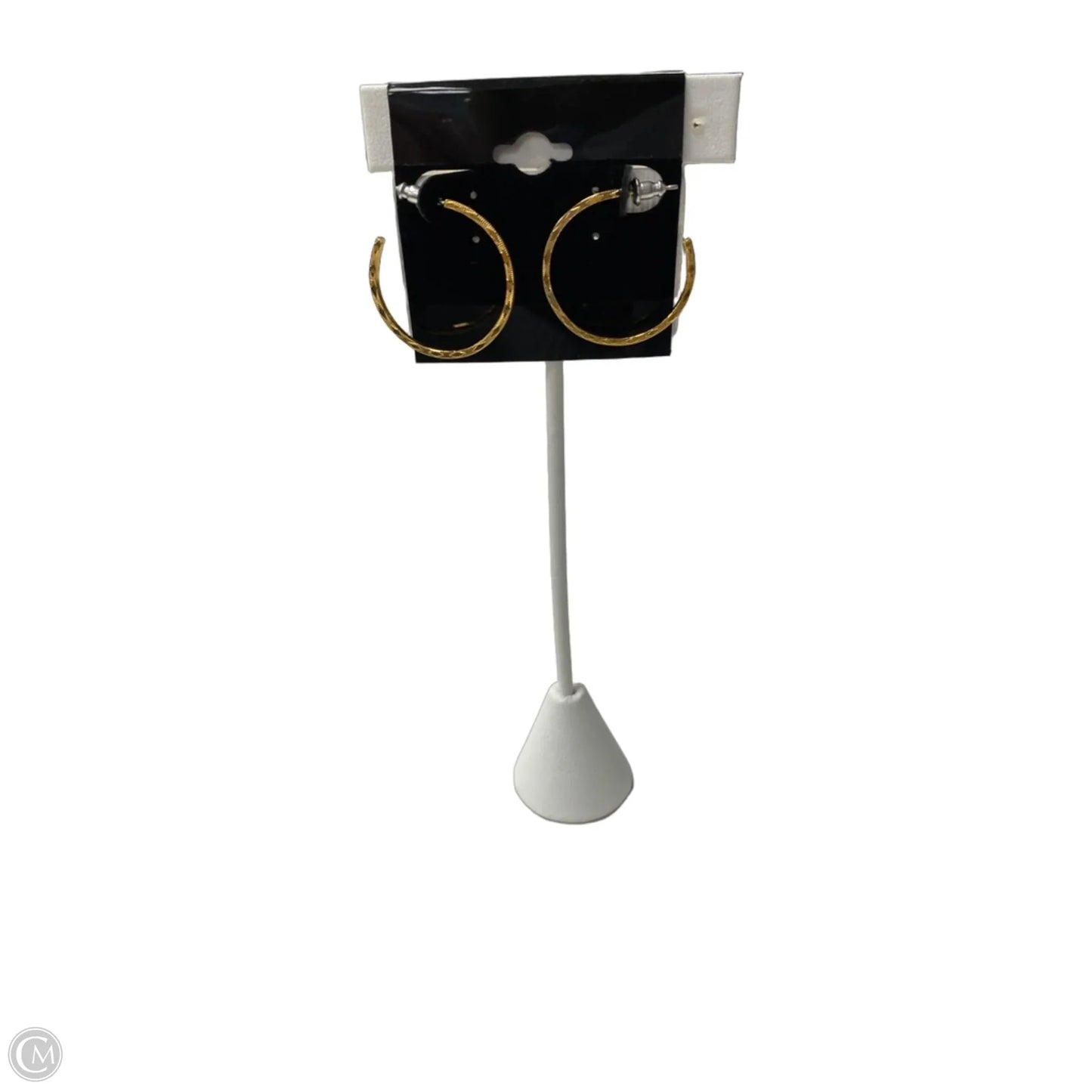 Earrings Hoop