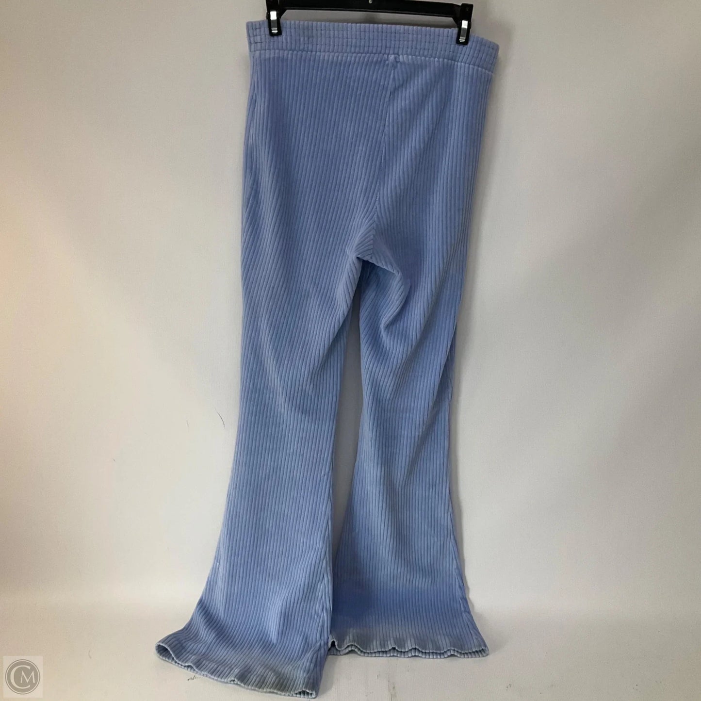 Pants Other By Aerie In Blue, Size: M
