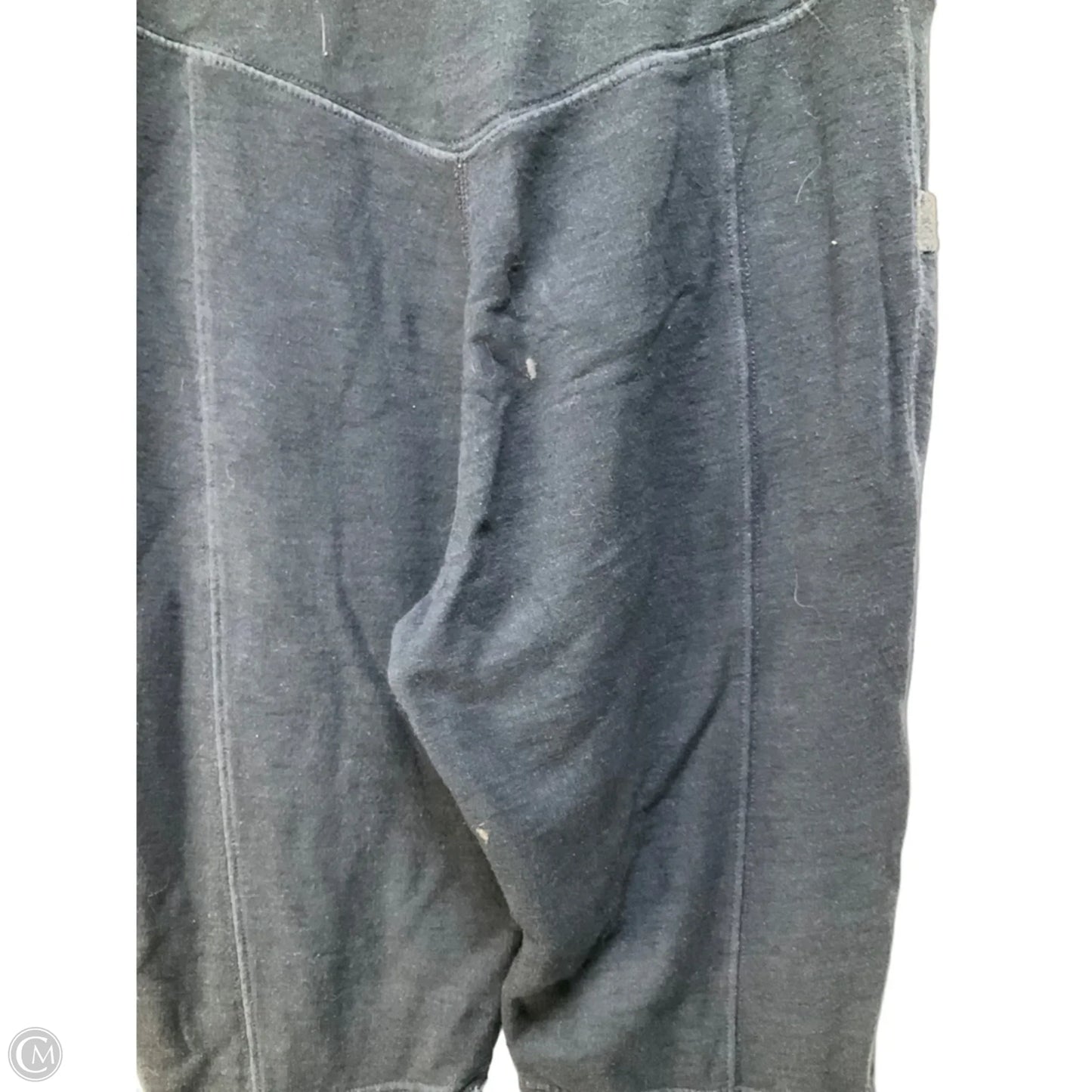 Athletic Pants By Free People In Blue, Size: S