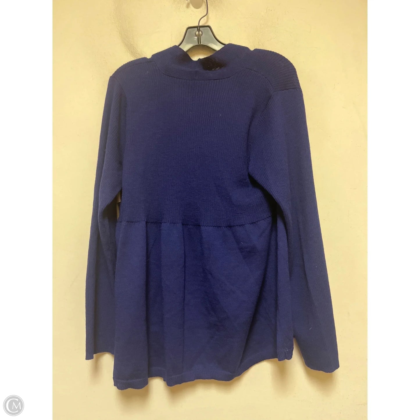 Sweater Cardigan By Eileen Fisher In Blue, Size: Xl