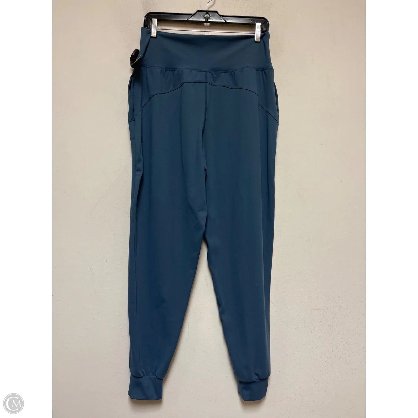 Athletic Pants By Crane In Blue, Size: M