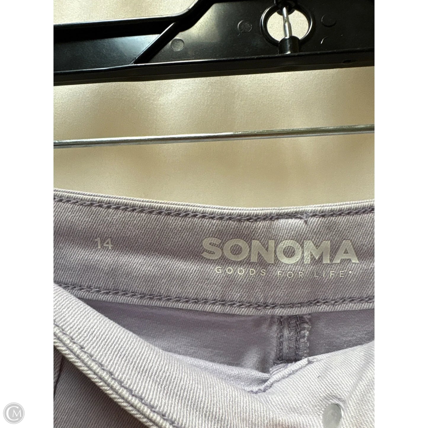 Shorts By Sonoma In Purple, Size: 14