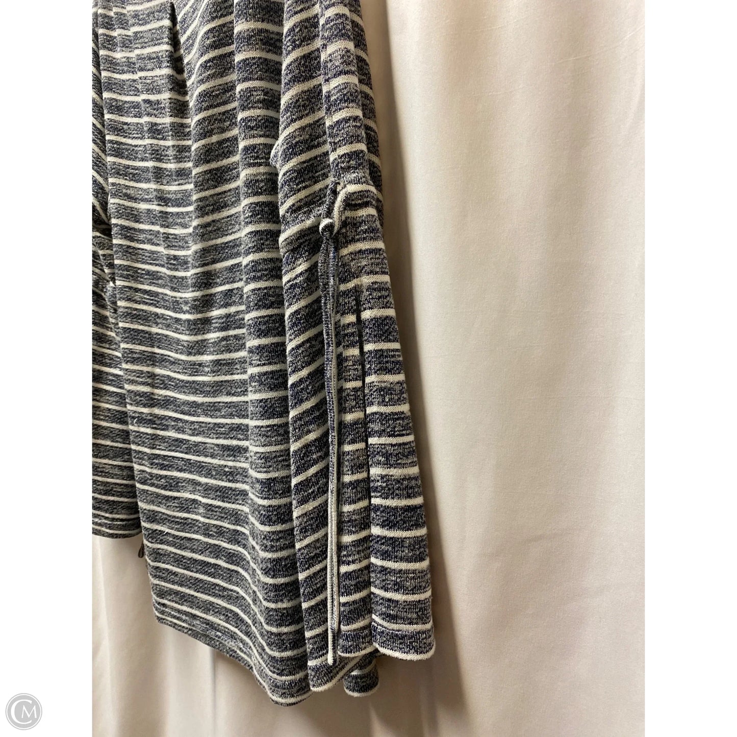 Top Long Sleeve By Suzanne Betro In Blue, Size: 2x