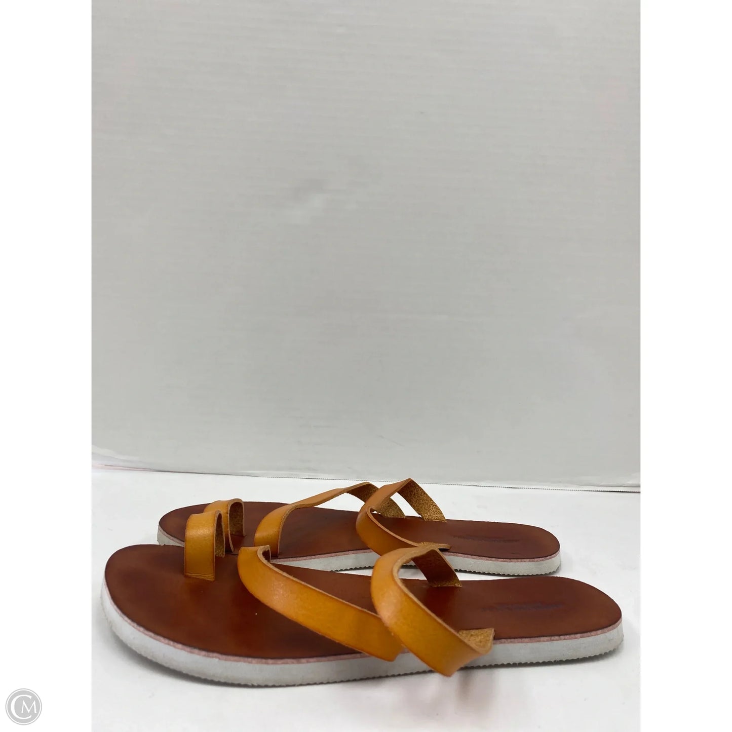 Sandals Flip Flops By American Eagle In Brown, Size: 8