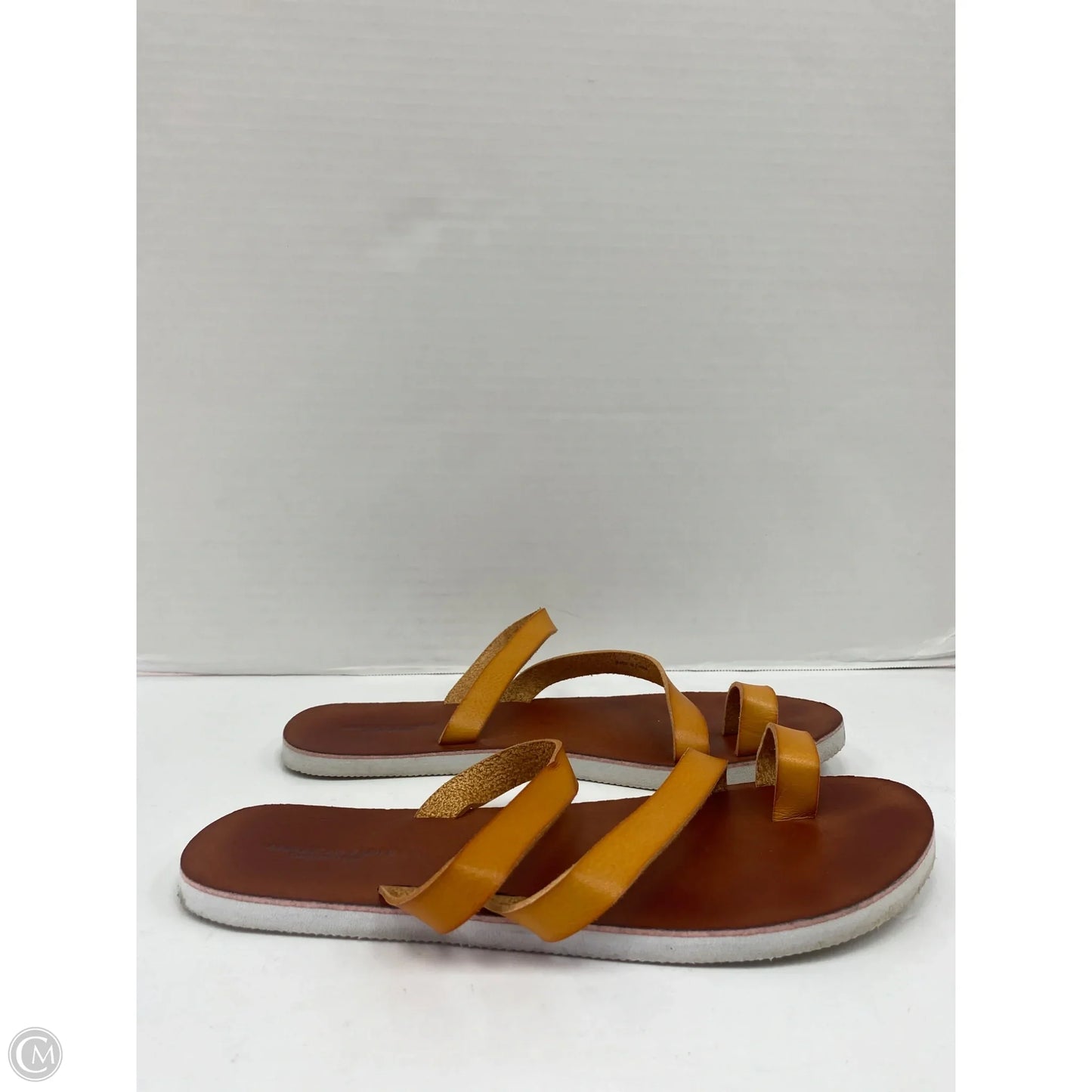 Sandals Flip Flops By American Eagle In Brown, Size: 8