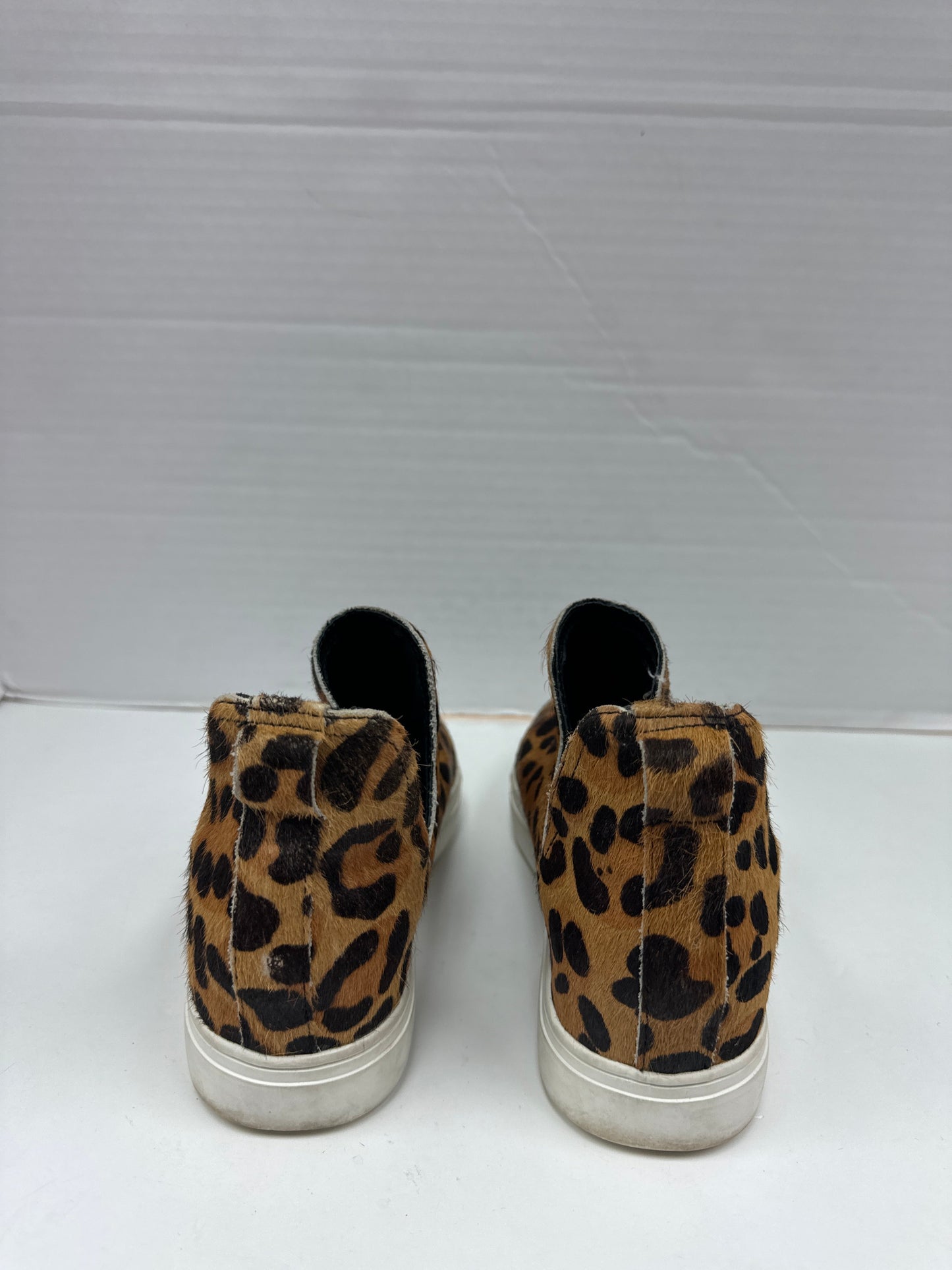 Shoes Sneakers By Steve Madden Size: 7
