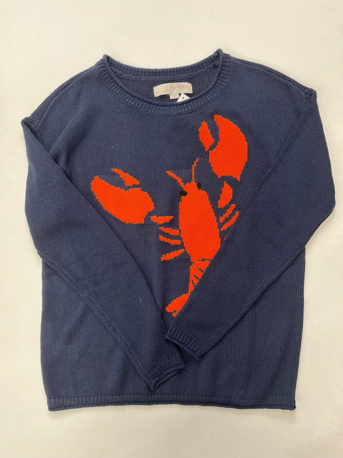 Sweater By Loft Size: Xs