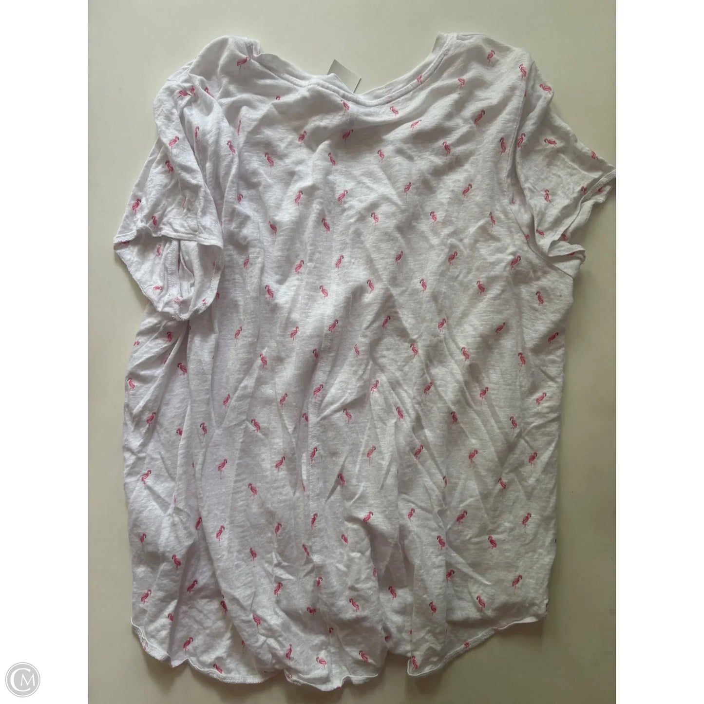 Tunic Short Sleeve By C And C In White, Size: 2x