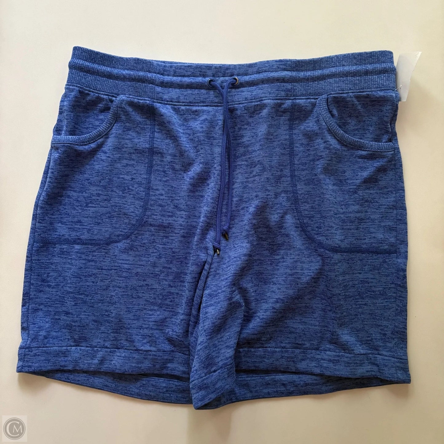 Athletic Shorts By Talbots In Blue, Size: L