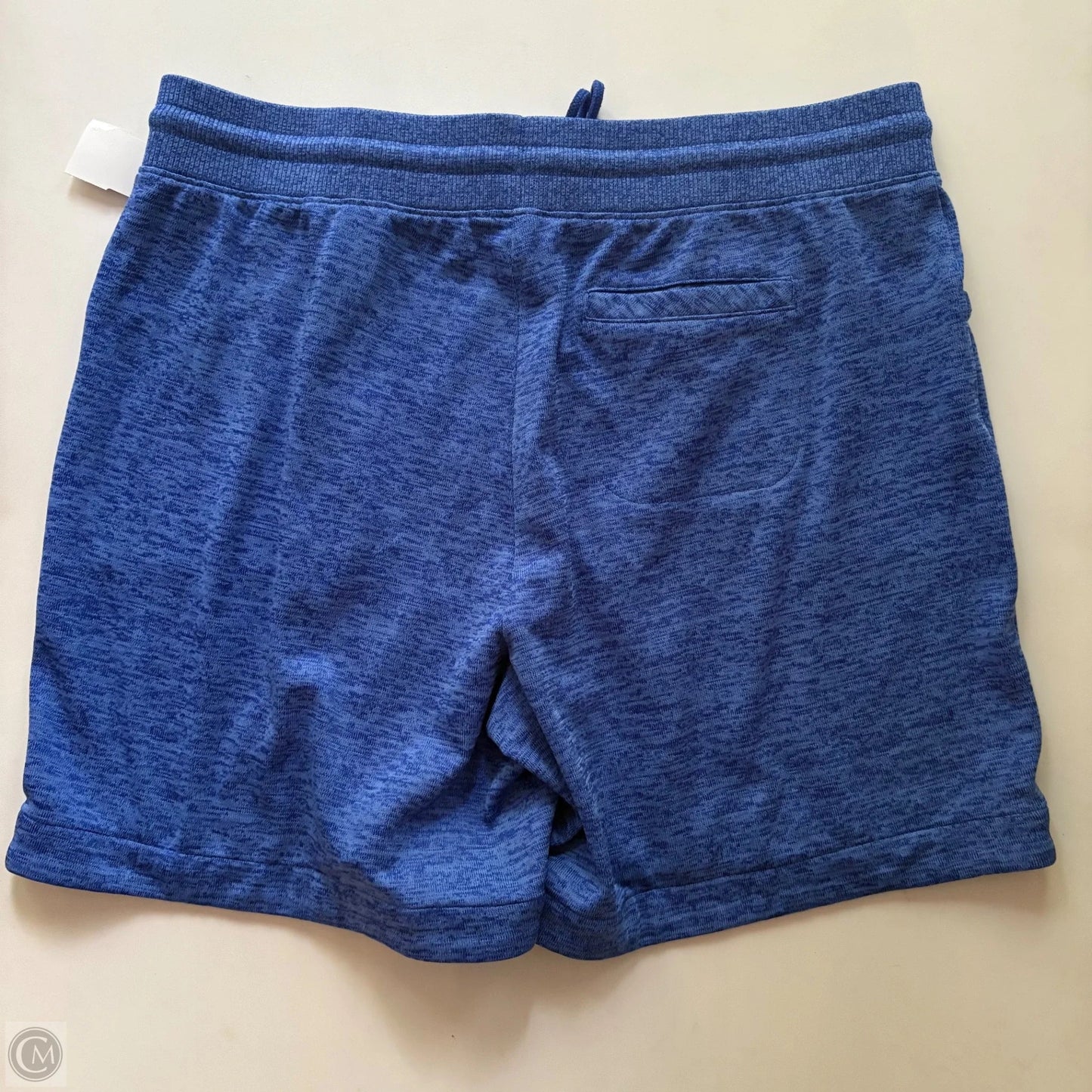 Athletic Shorts By Talbots In Blue, Size: L
