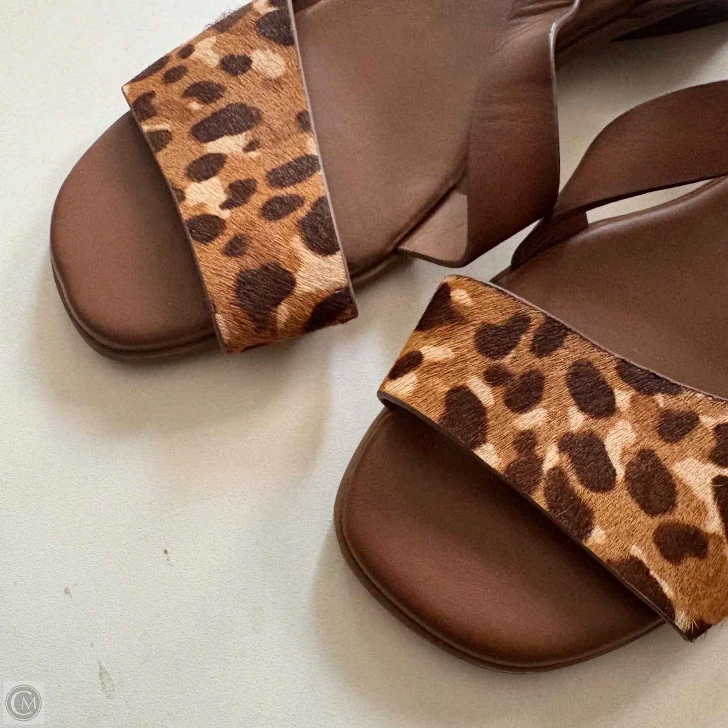 Sandals Flats By Alex Marie In Animal Print, Size: 9