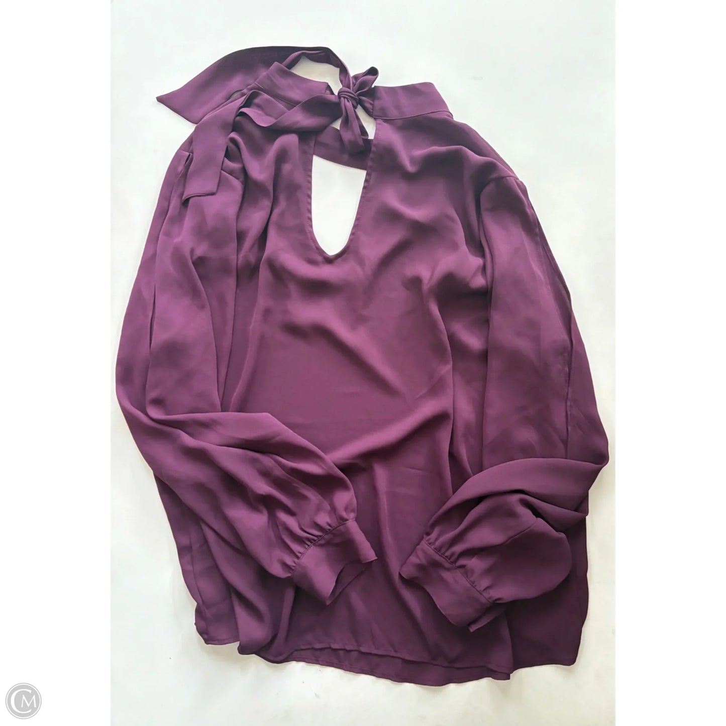 Blouse Long Sleeve By Torrid In Maroon, Size: 1x