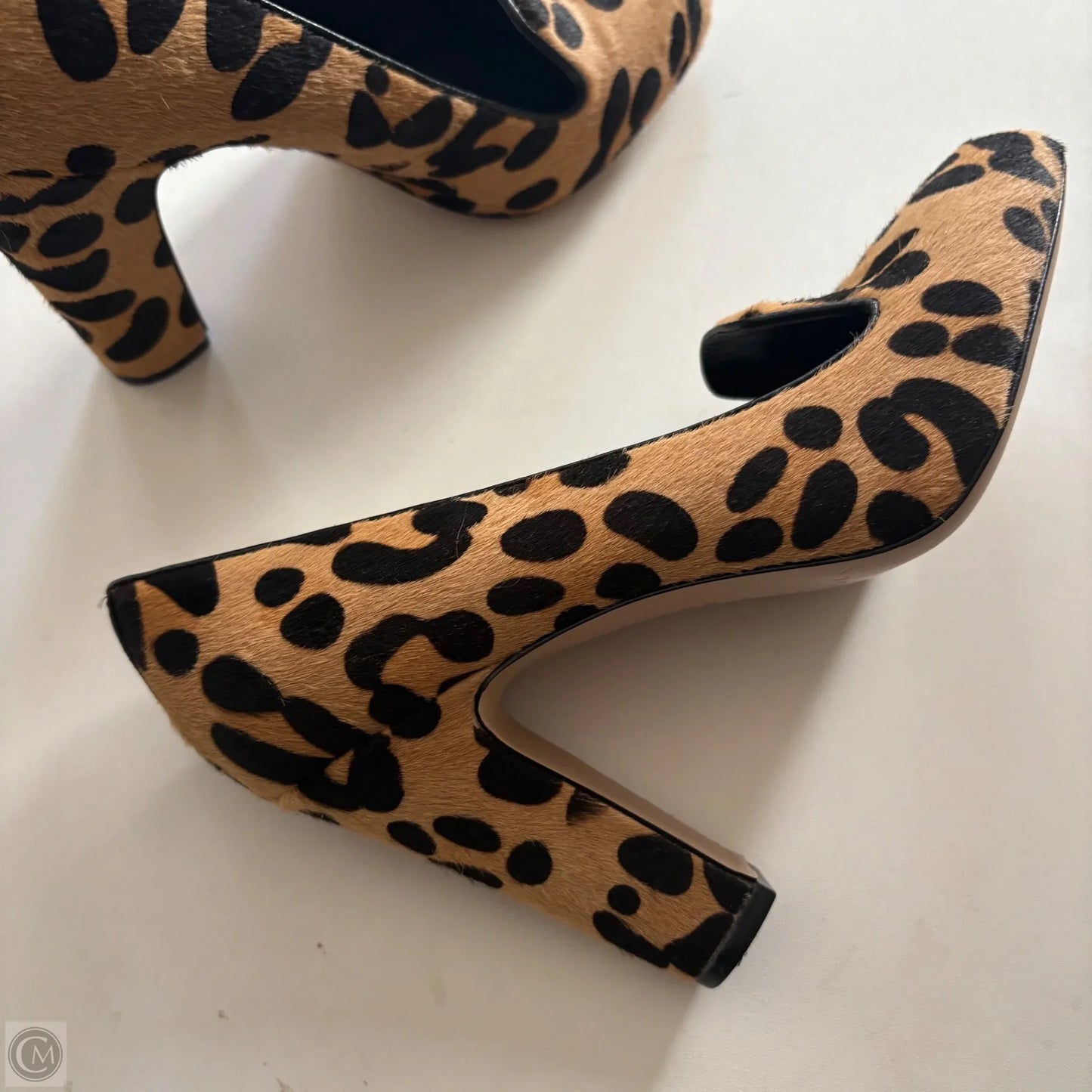 Shoes Heels Kitten By Via Spiga In Animal Print, Size: 7