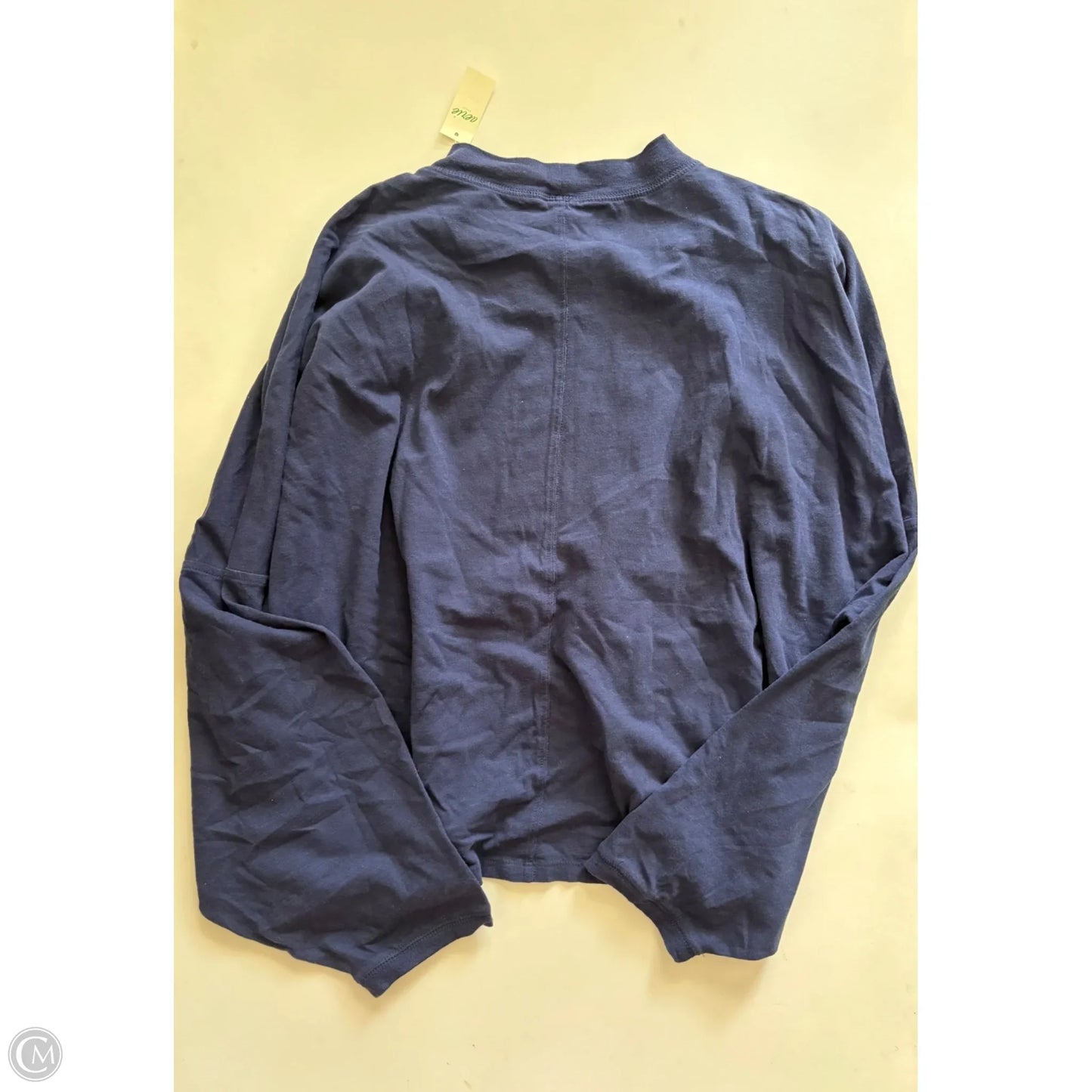 Top Long Sleeve By Aerie In Blue, Size: Xl